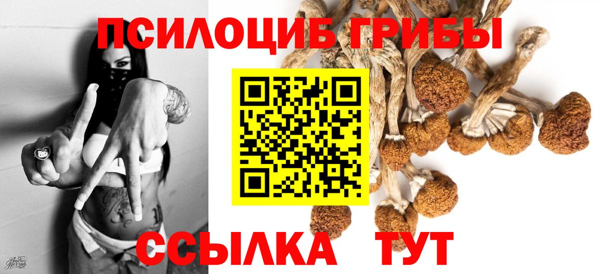 Псилоцибиновые грибы мицелий Анжеро-Судженск