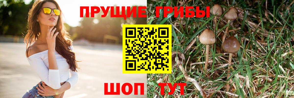 Псилоцибиновые грибы ЛСД  Вход с VPN  Анжеро-Судженск  Псилоцибиновые грибы мухоморы 